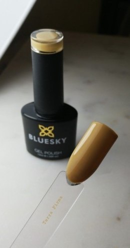 Bluesky Gel Polish AW 1802 - Terra Firma