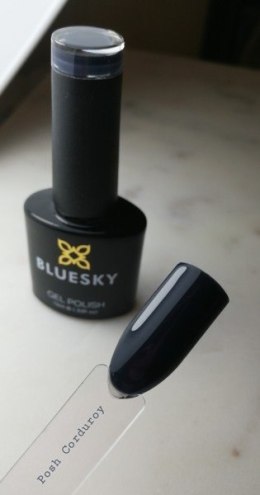 Bluesky Gel Polish AW 1806 - Post Corduroy