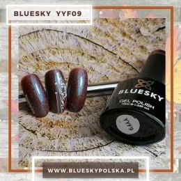 BlueSky Seria YYF09