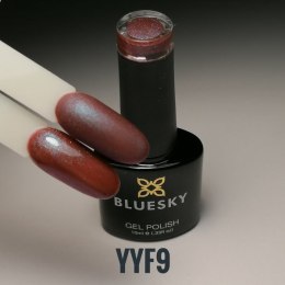 BlueSky Seria YYF09