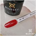 Lakier hybrydowy DC 24 TOMATO RED BLACK PEPPER 10ml Bluesky