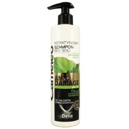 Delia CAMELEO ANTI DAMAGE Szampon keratynowy do włosów zniszczonych 250 ml